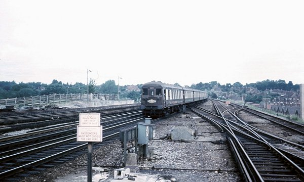 5Bel units 3051 & 3053 aproaching Haywards Heath on 13th June 1965